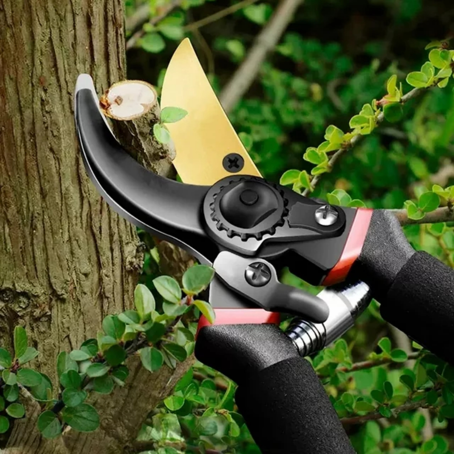 Specification：
Name: Garden tools - Pruning shears
Material: Titanium Steel + Alloy Steel
Color: Black
Size: 8.07x6.49x1.17 inch
Weight: 0.64 lb

Features:

✅These quality snips come with precision-sharpened blades and are ready to tackle all of your deadheading, trimming, and shaping needs for your roses, annuals, vegetable, bonsai and small flower gardens.

✅Low-friction coating resists rust, helps the blade glide through wood and prevents the pruner from gumming up with sap and debri.

✅Bypass blade design is ideal for pruning green, living growth like ornamental shrubs and trees.

✅Anti-slip black cushion handle. Long handle grip garden shears with shock absorbing pads. Help Reduce Repetitive Hand Motion Injuries, Hand Fatigue & Wrist Strain.

✅Ideal Versatile Gardening Trimmers for General Yard, Farm Work, Hunting, Trail riding & Multi-Purpose Intensive Pruning.